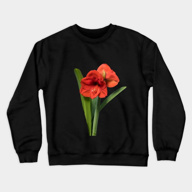 Red Amaryllis Crewneck Sweatshirt by Lynn